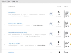 ANALIZA TUS CATEGORIAS